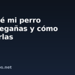 Por qué mi perro tiene legañas y cómo limpiarlas
