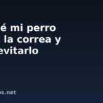 Por qué mi perro tira de la correa y cómo evitarlo