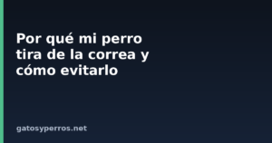 Por qué mi perro tira de la correa y cómo evitarlo