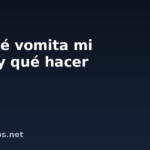 Por qué vomita mi perro y qué hacer