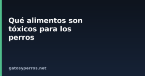 Qué alimentos son tóxicos para los perros