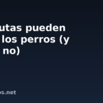 Qué frutas pueden comer los perros (y cuáles no)