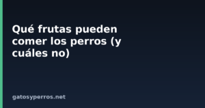 Qué frutas pueden comer los perros (y cuáles no)