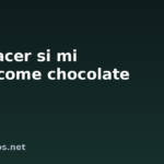Qué hacer si mi perro come chocolate