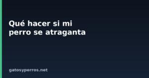 Qué hacer si mi perro se atraganta